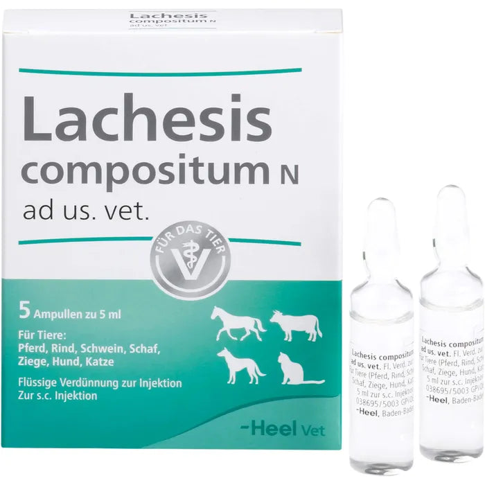 LACHESIS COMPOSITUM VET AMP 5