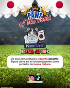 Paws of the World🏆