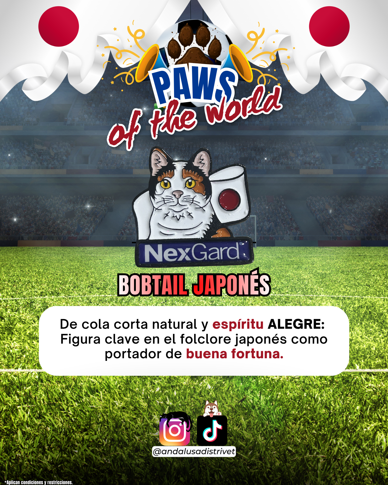 Paws of the World🏆