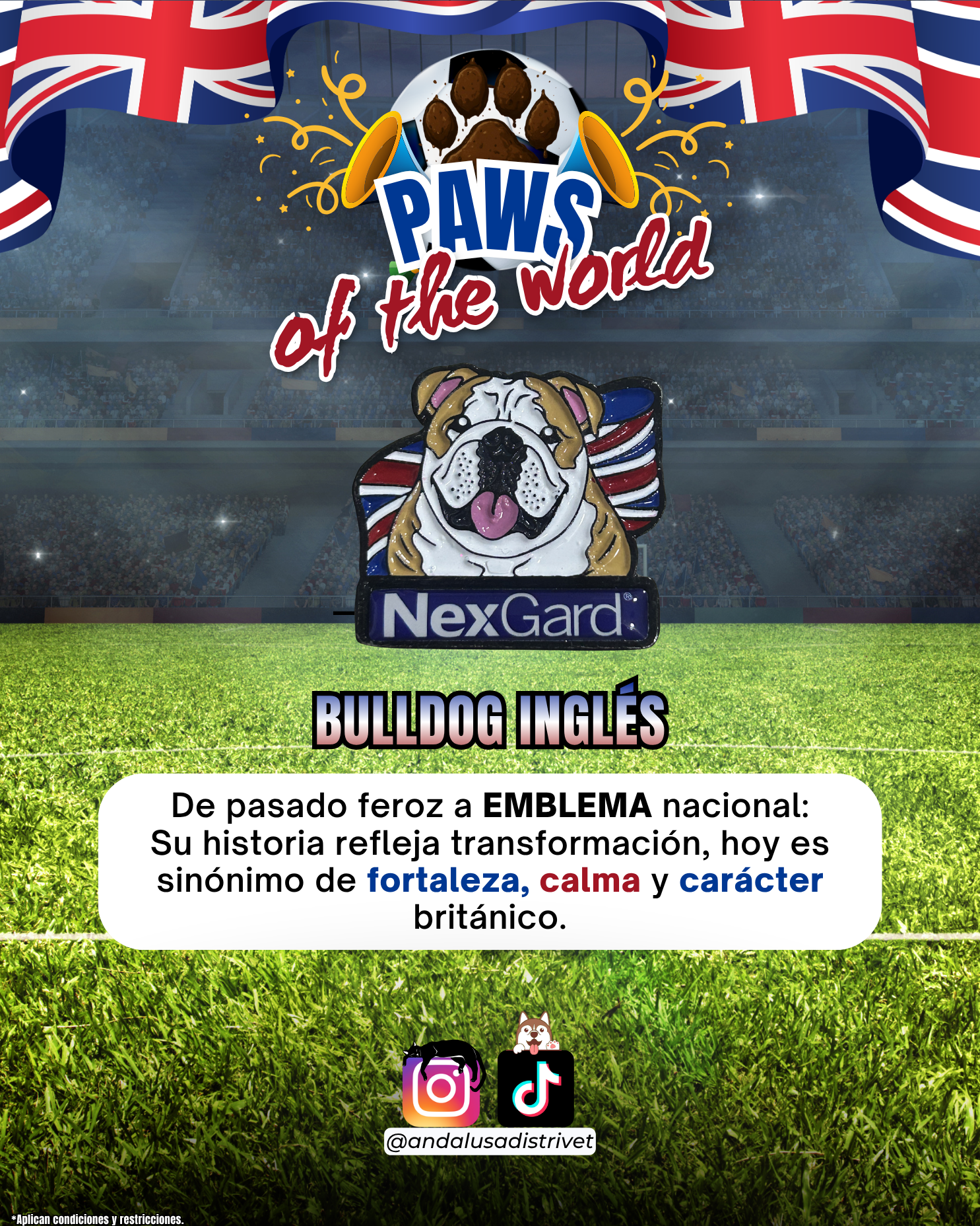 Paws of the World🏆