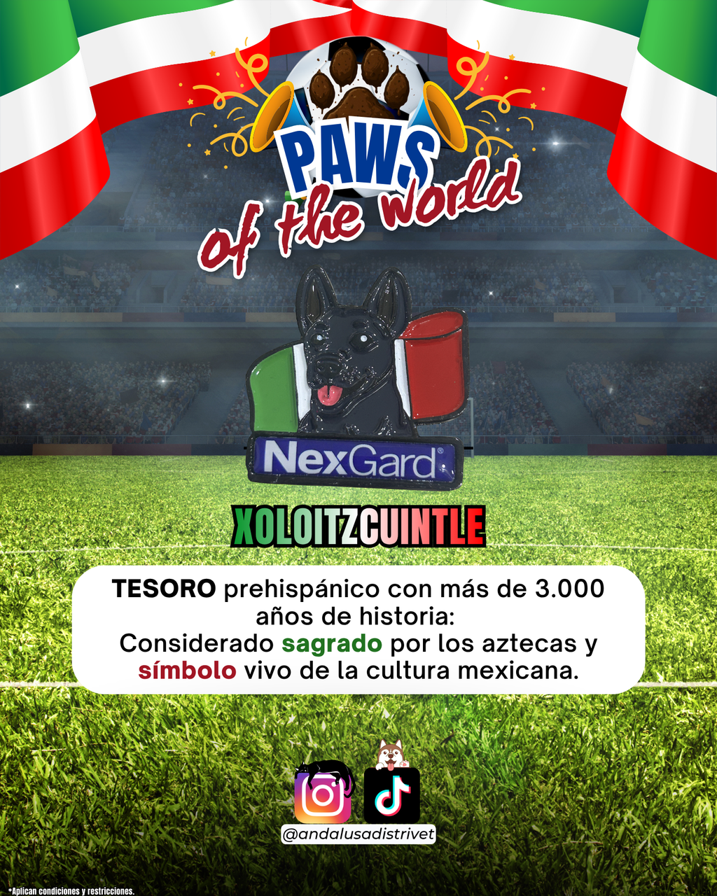 Paws of the World🏆