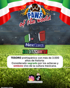Paws of the World🏆