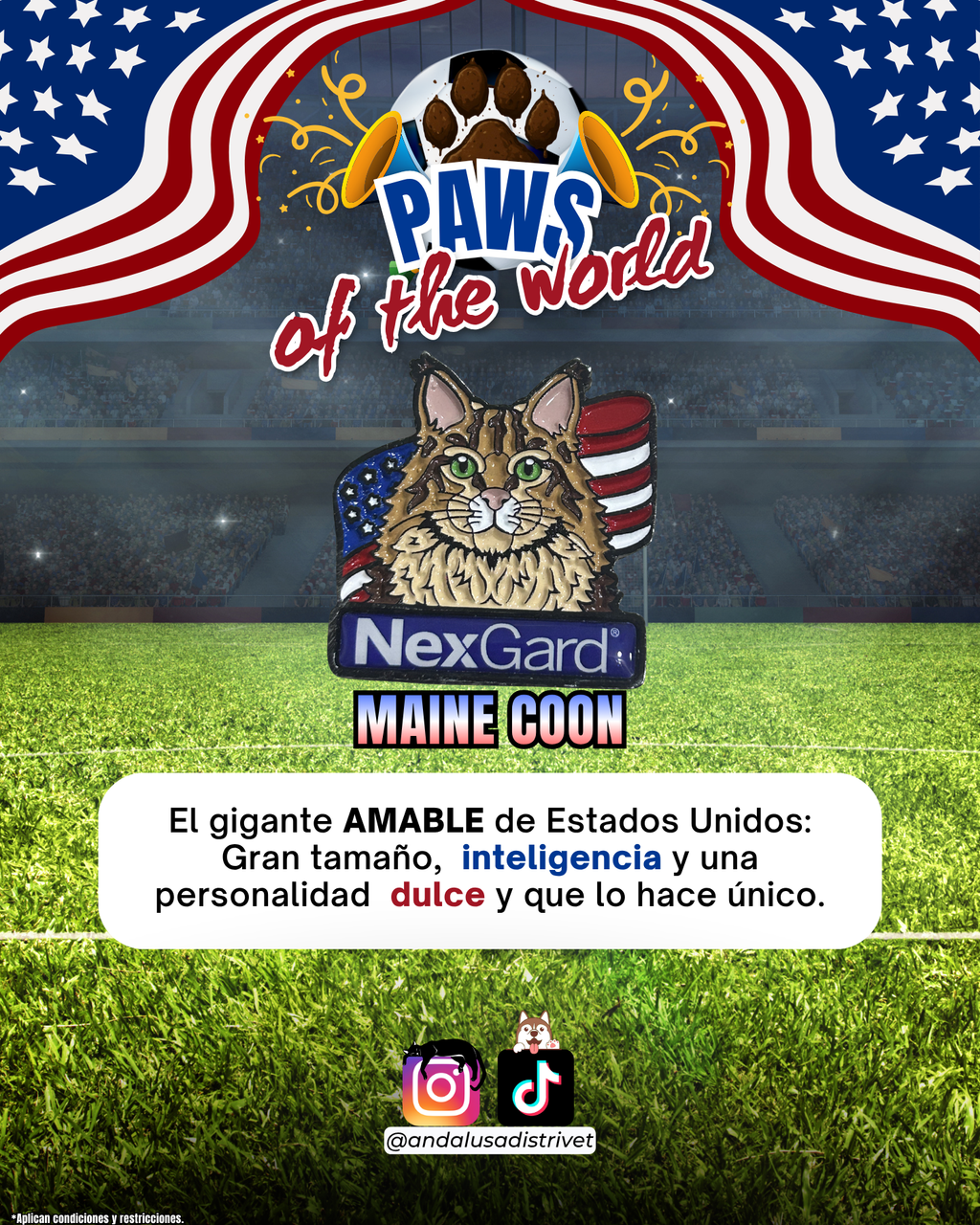 Paws of the World🏆