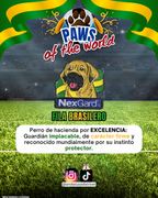 Paws of the World🏆