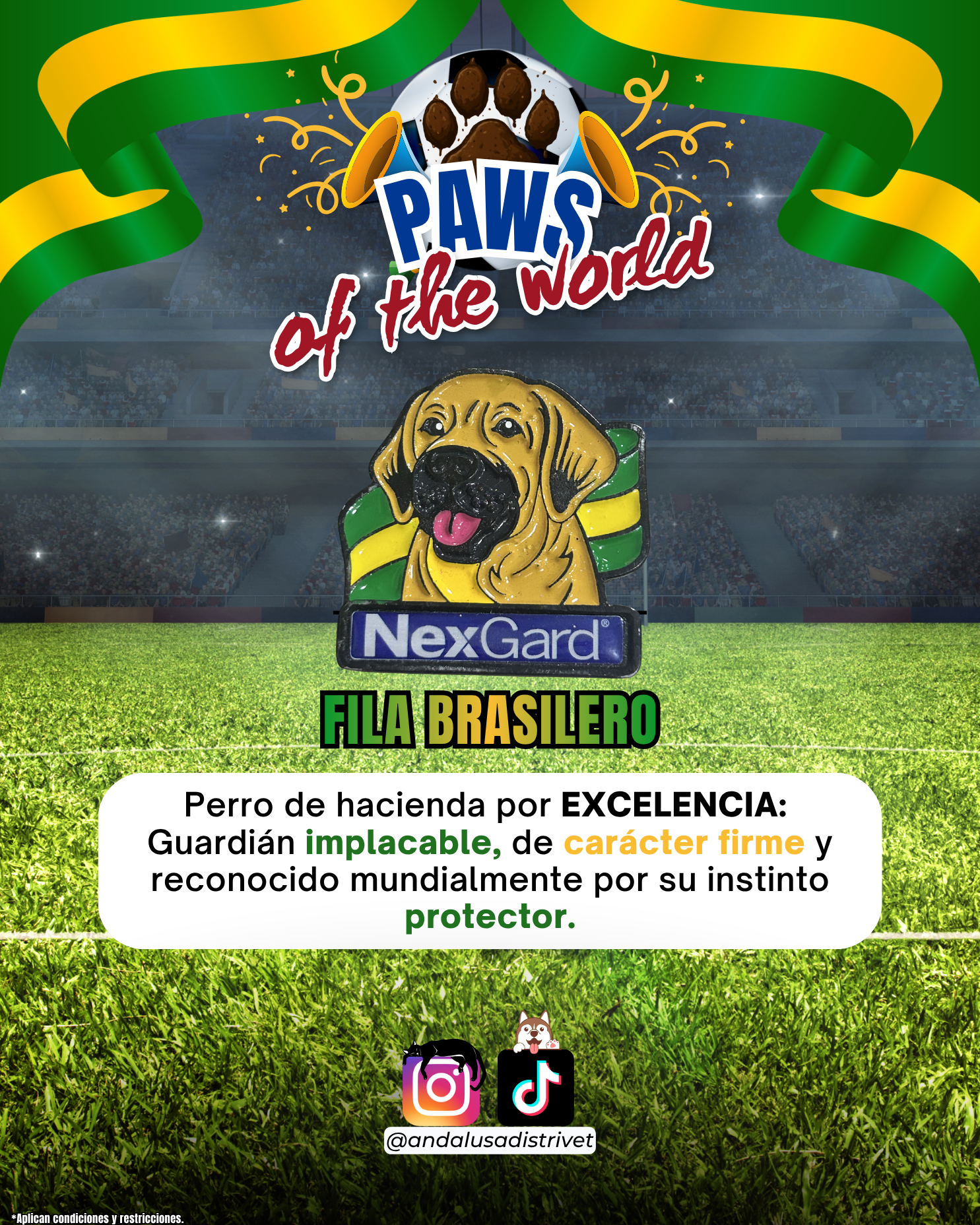 Paws of the World🏆