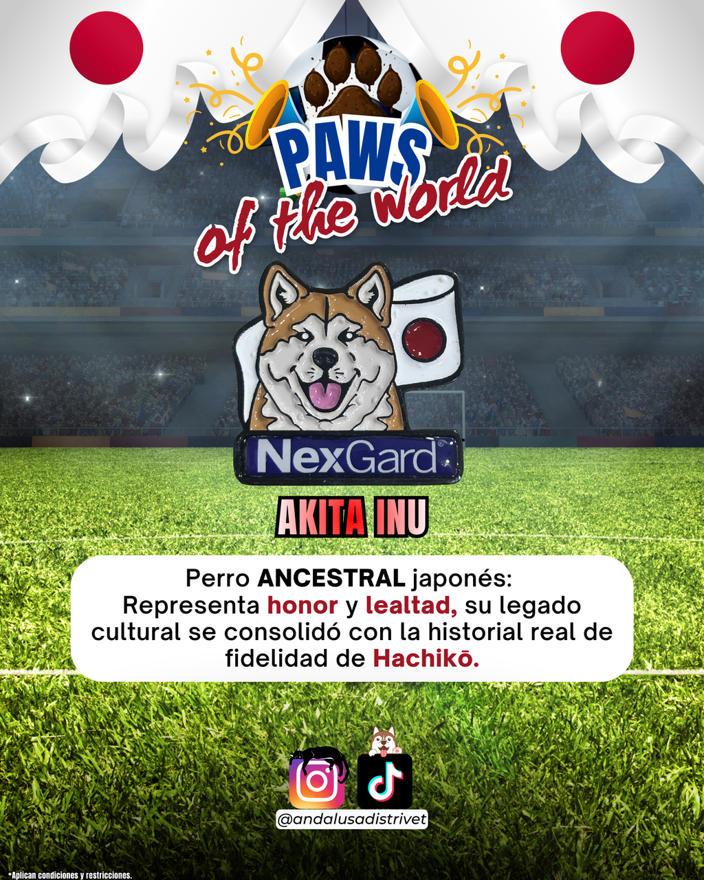Paws of the World🏆