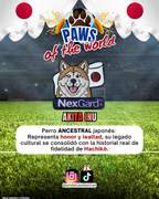 Paws of the World🏆