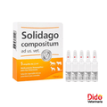 SOLIDAGO COMP AD US VET AMP 5 DE 2.2 ML