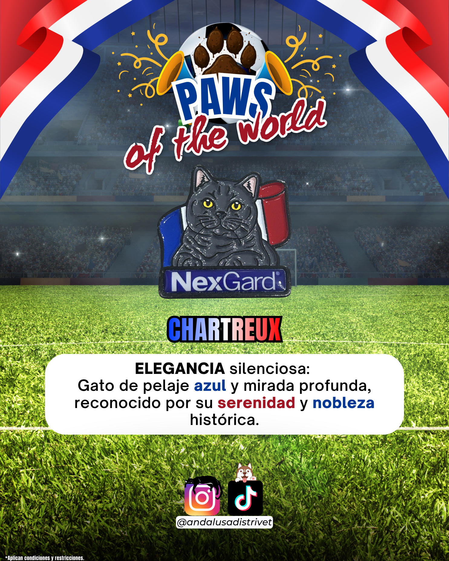 Paws of the World🏆