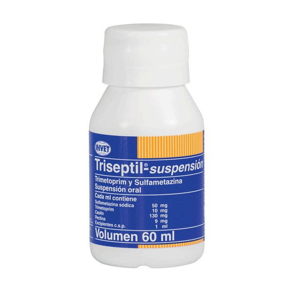 TRISEPTIL SUSP X 60ML