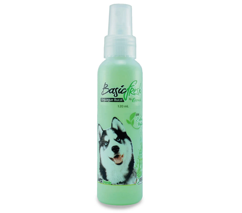 BASIC FRESH X 120 ML