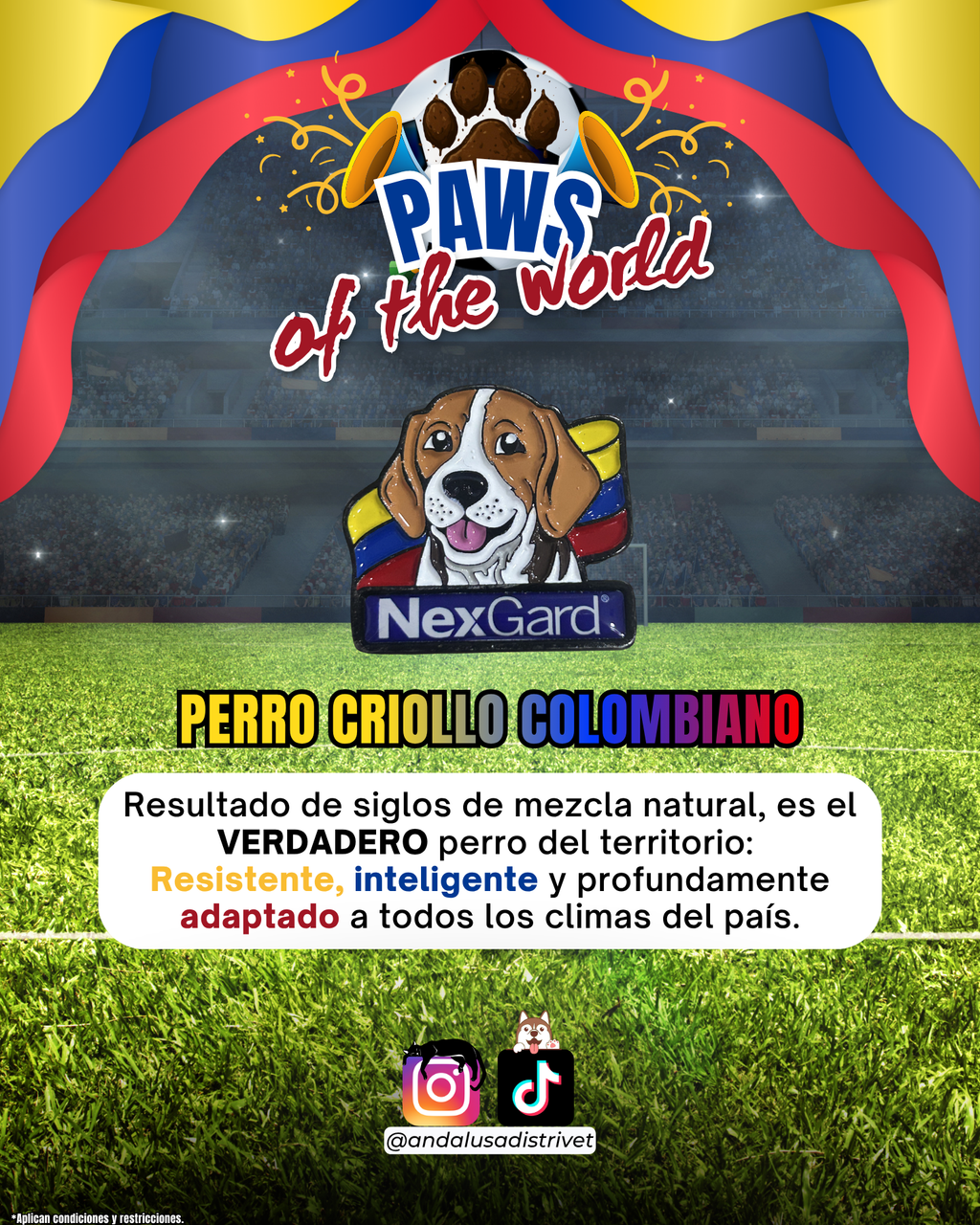 Paws of the World🏆