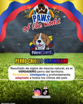 Paws of the World🏆