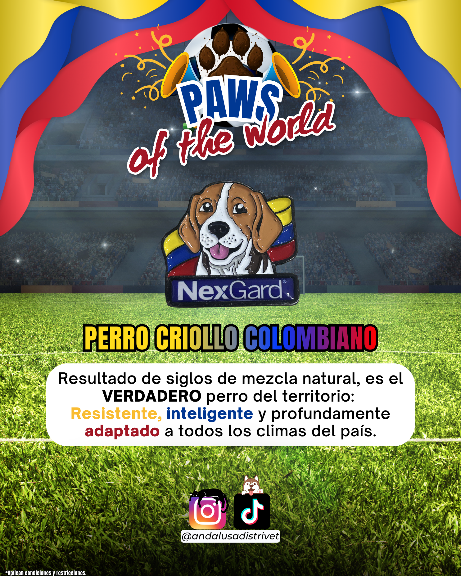 Paws of the World🏆