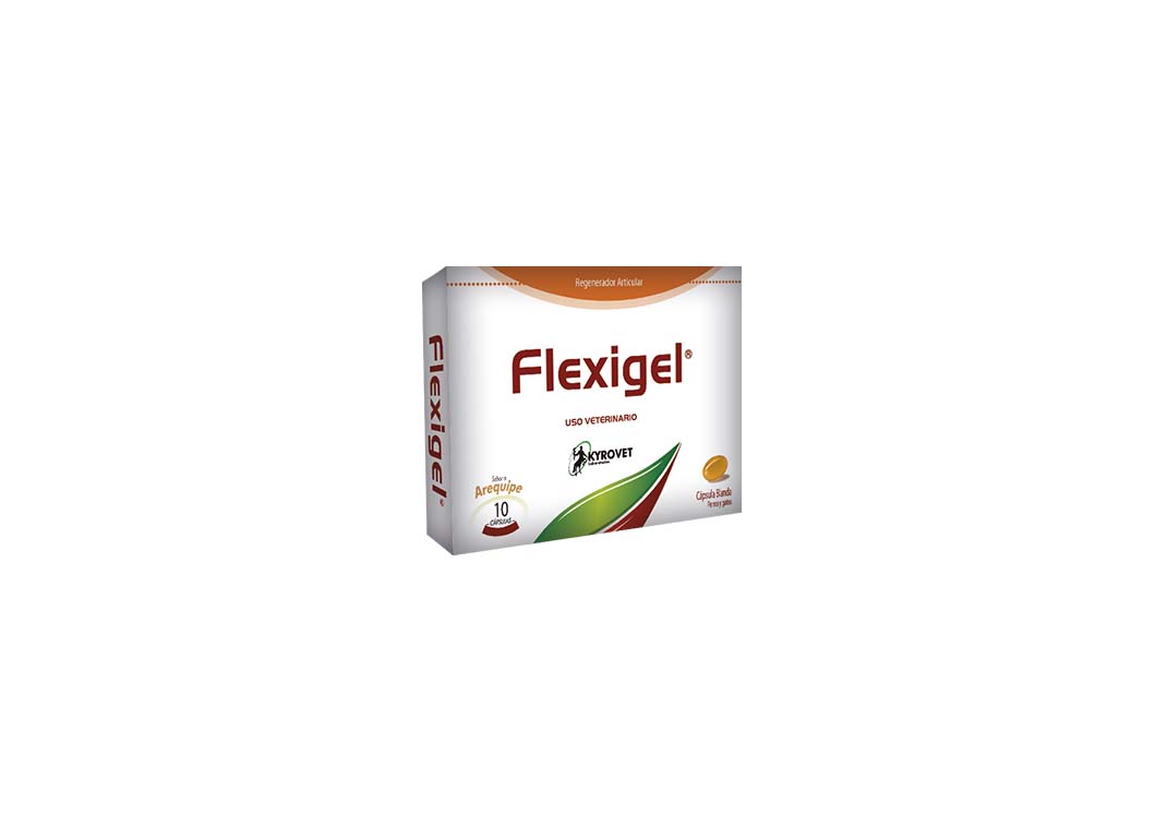 FLEXIGEL CBG CJA X 10 CAPS VET