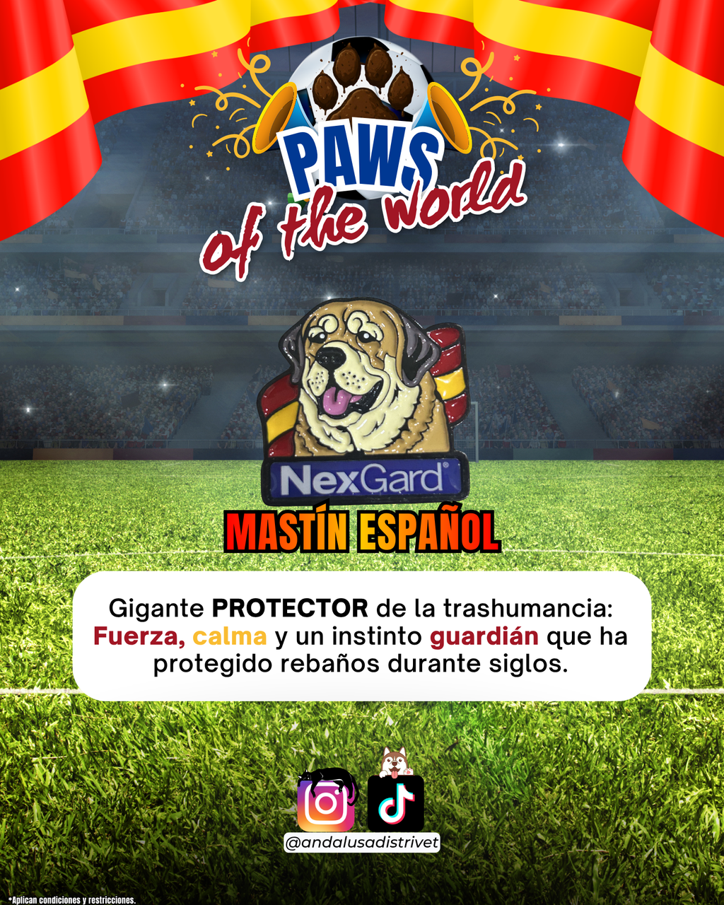 Paws of the World🏆