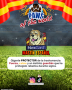 Paws of the World🏆