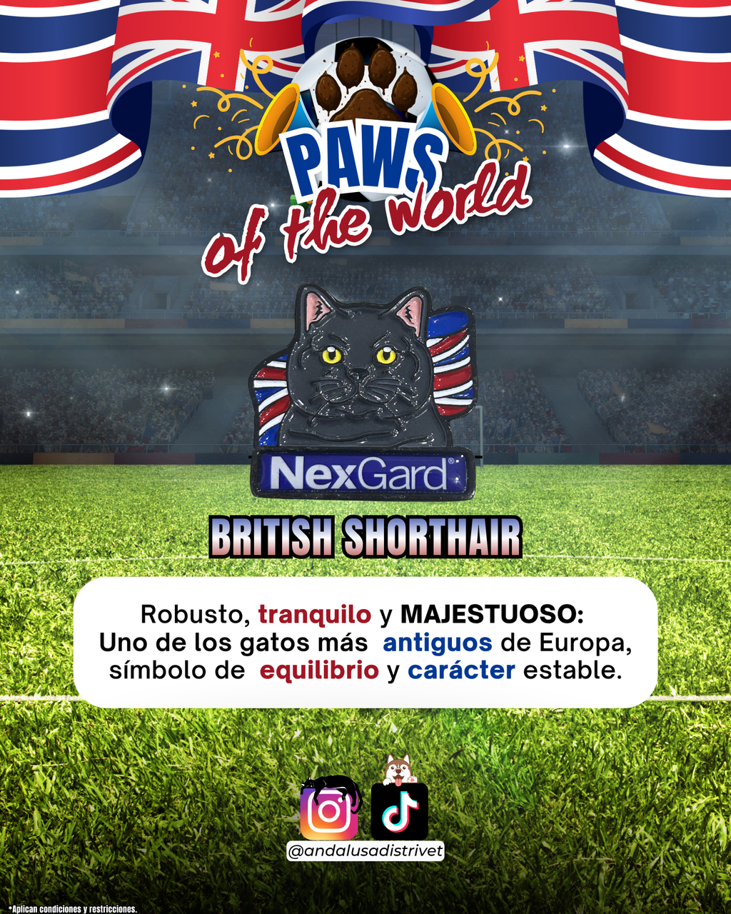 Paws of the World🏆