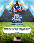 Paws of the World🏆