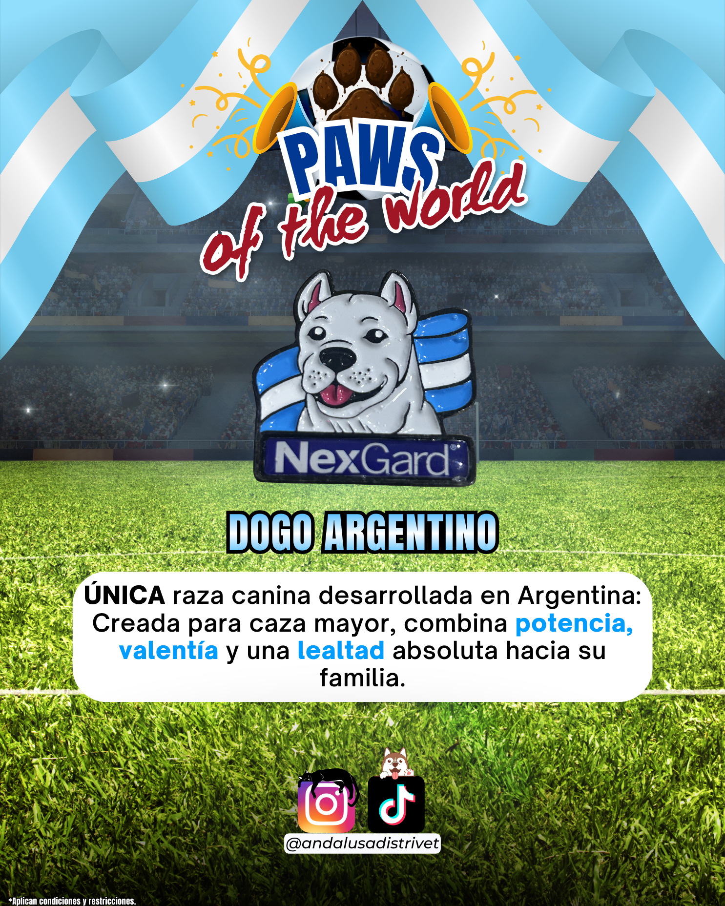 Paws of the World🏆