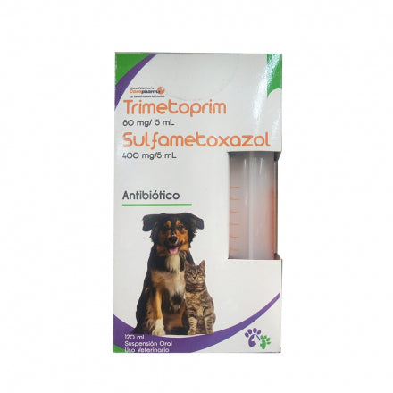 SULFAMETOXAZOL TRIMETOPRIM SUSP. X 60 ML