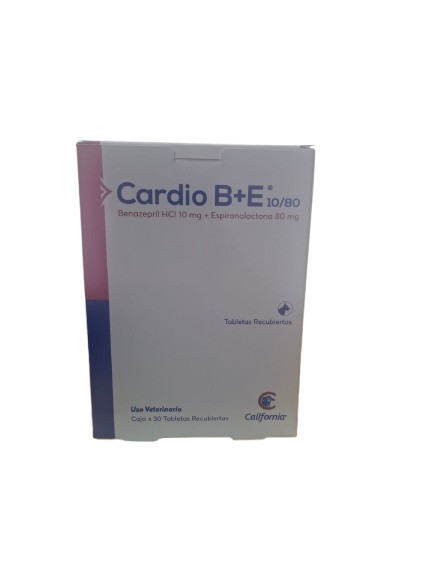 CARDIO B   E 10/80 DE 20 A 40 KG