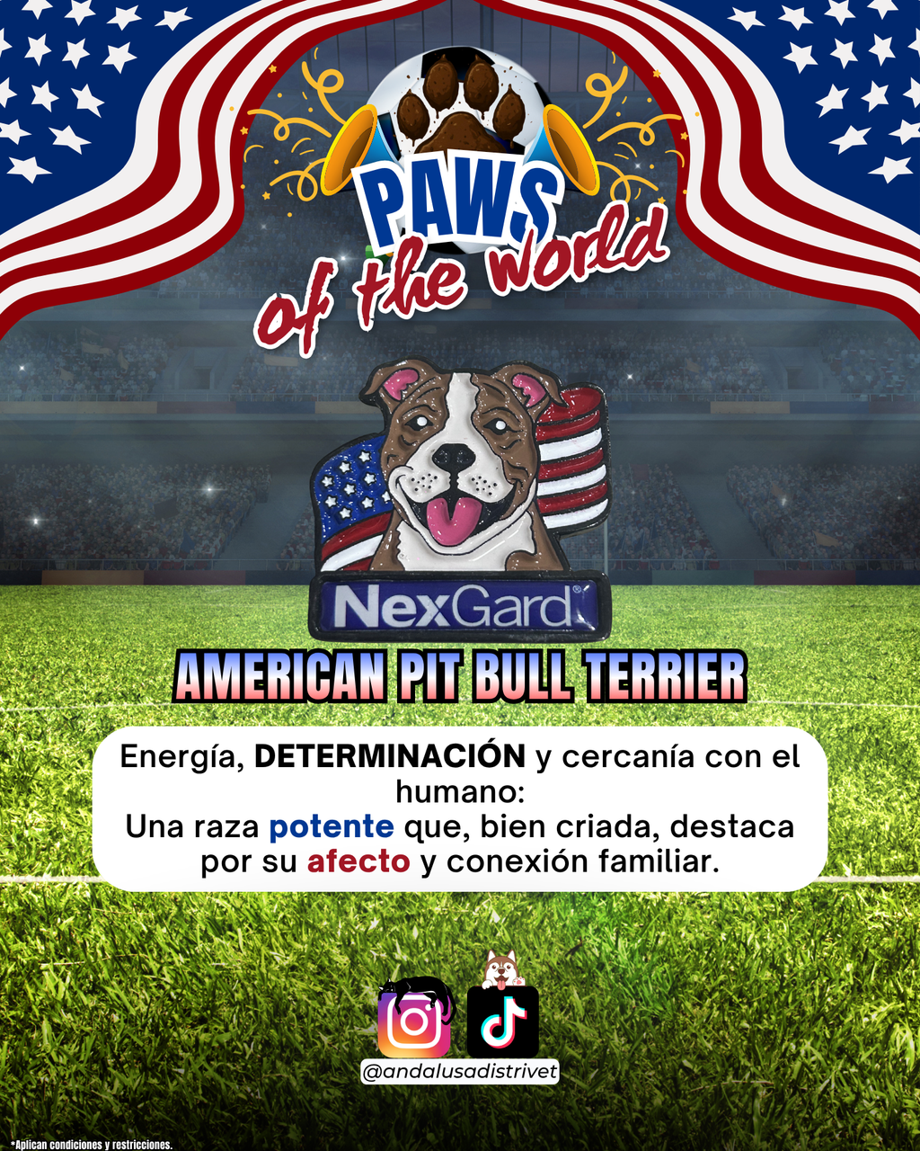Paws of the World🏆