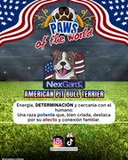 Paws of the World🏆