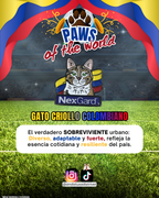 Paws of the World🏆