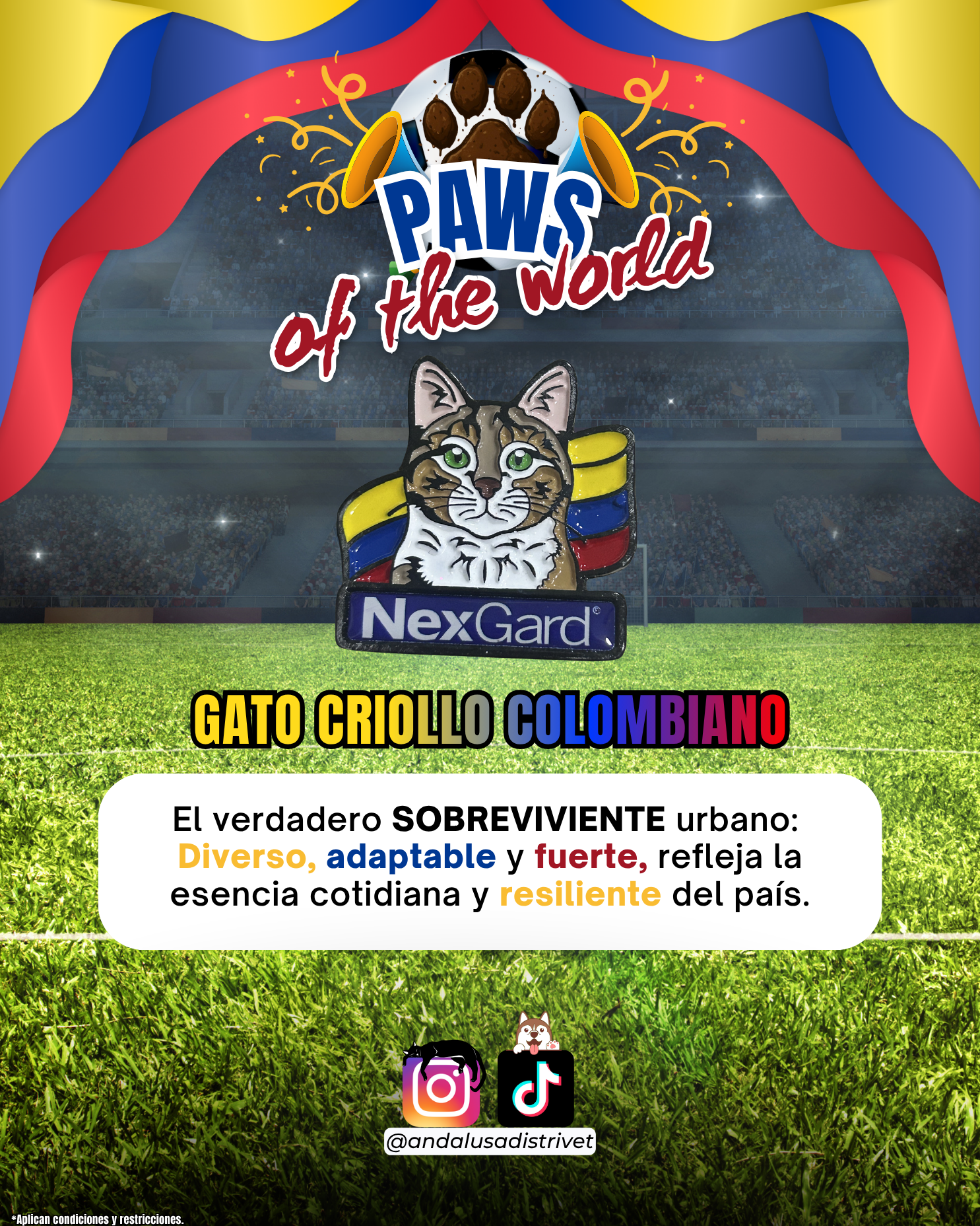 Paws of the World🏆