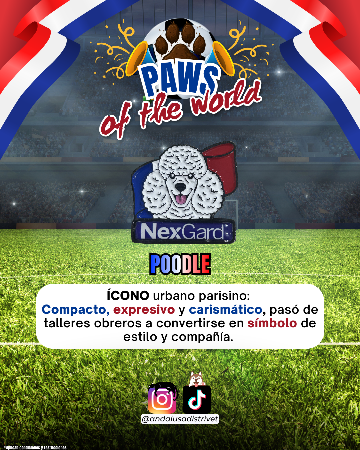 Paws of the World🏆