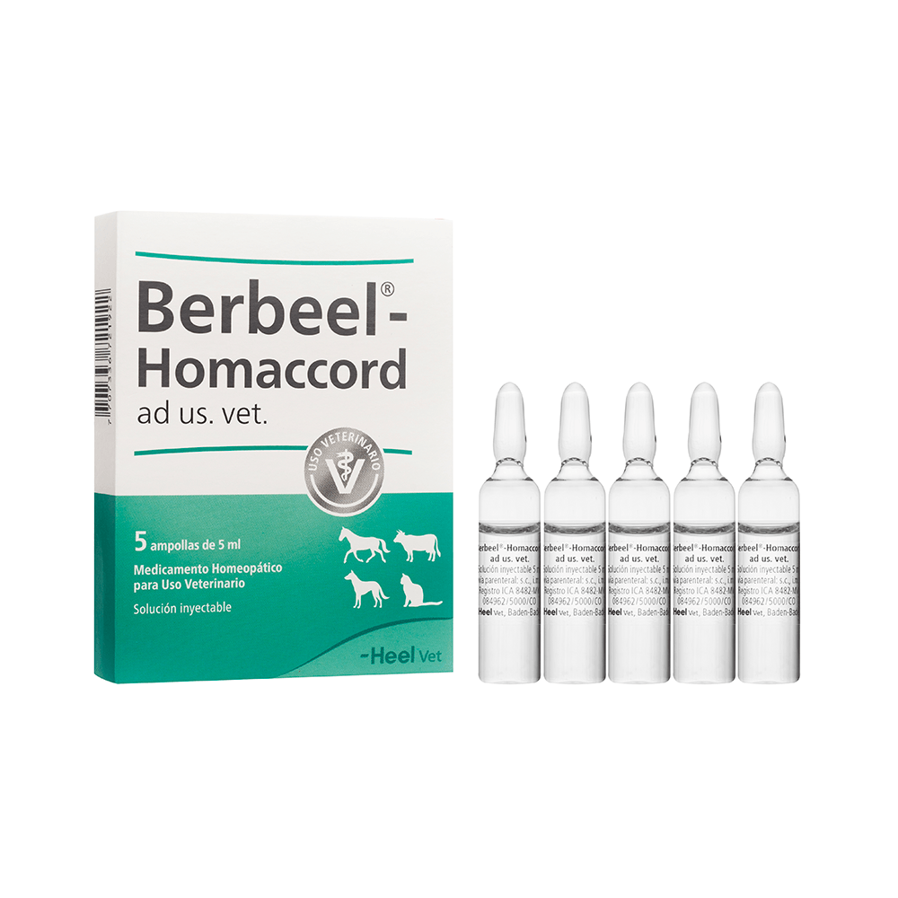 BERBEEL-AD US VET 5 AMP X 5 ML