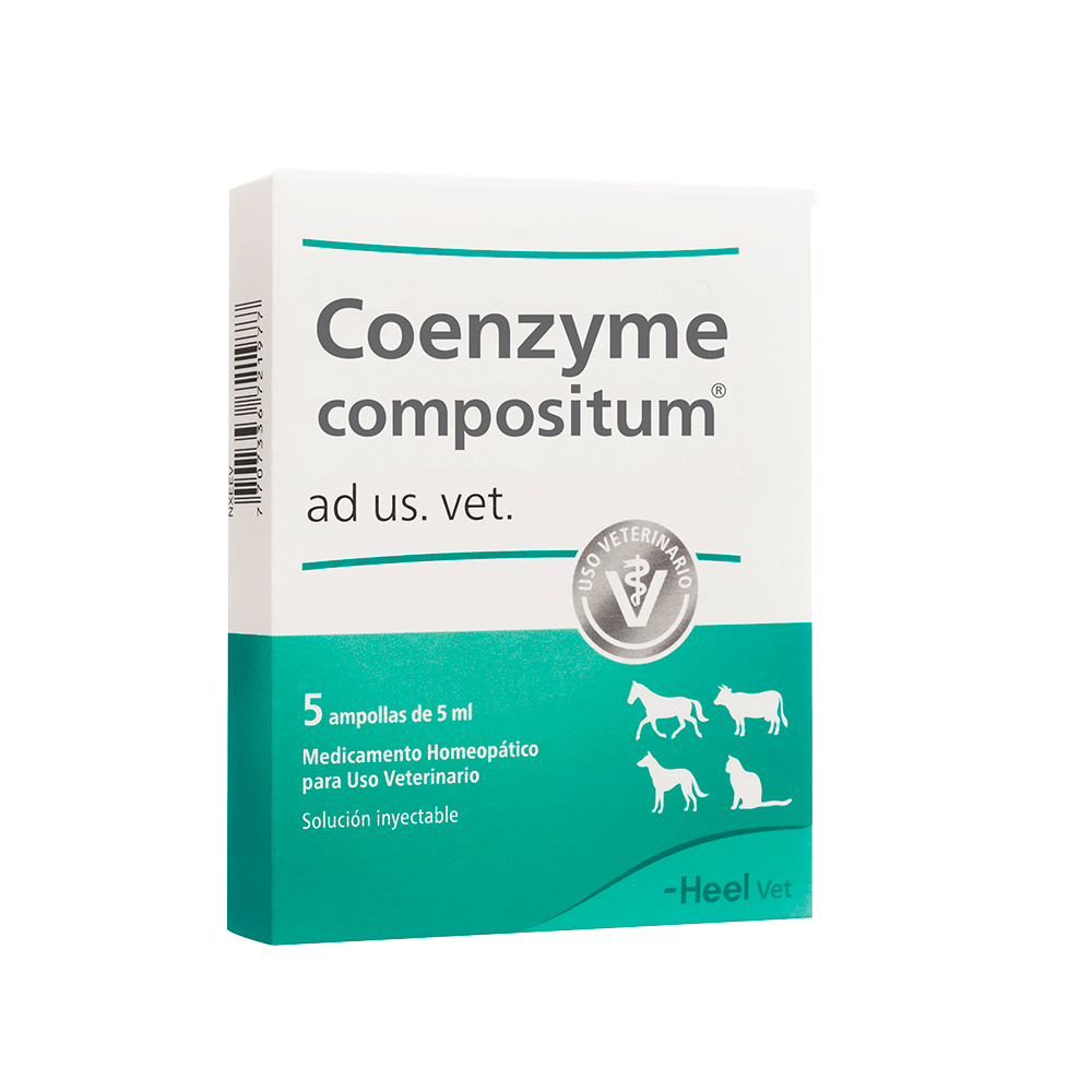 COENZYME COMPOSITUM VET AMP 5