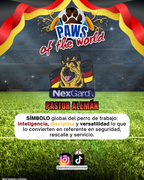 Paws of the World🏆