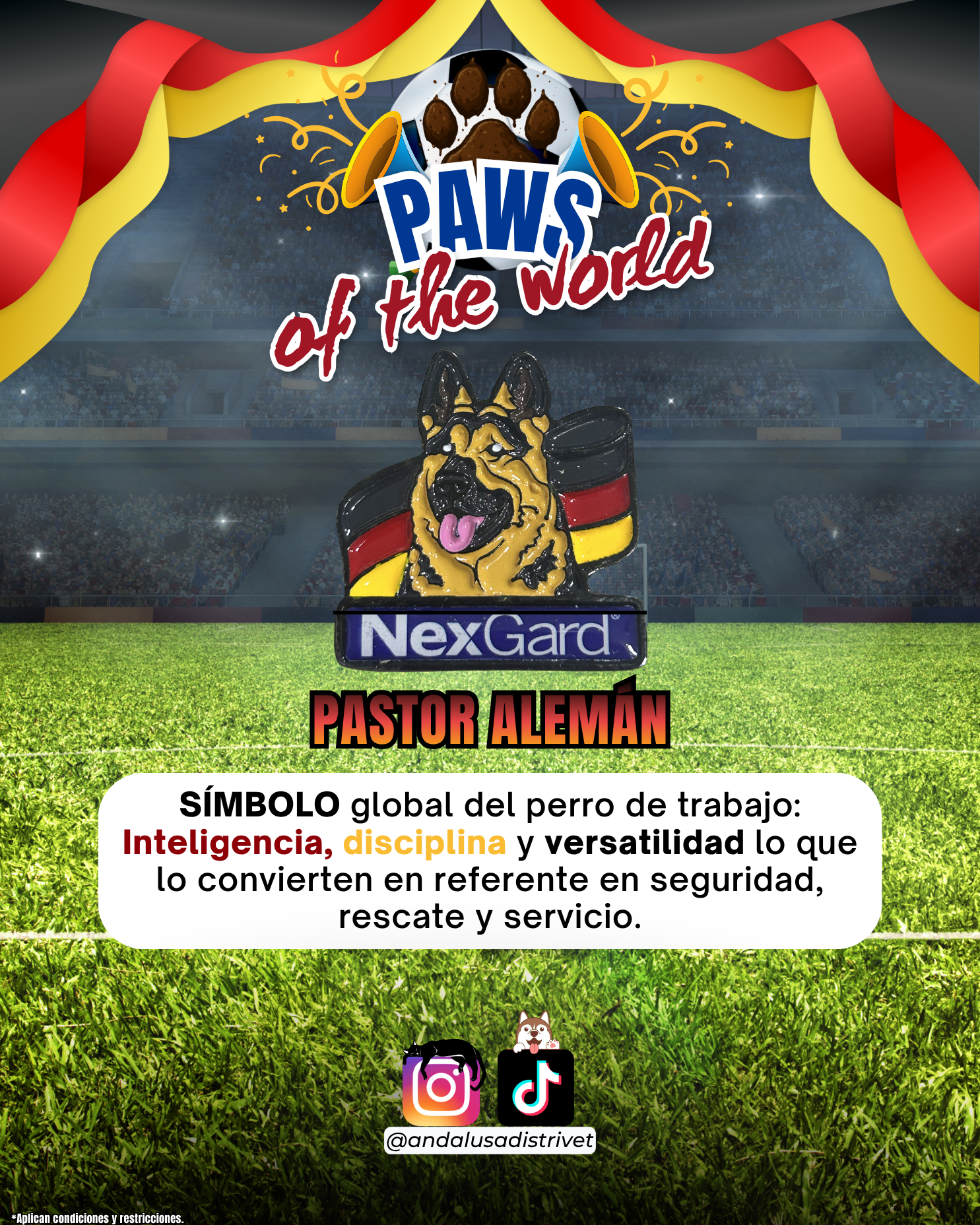 Paws of the World🏆