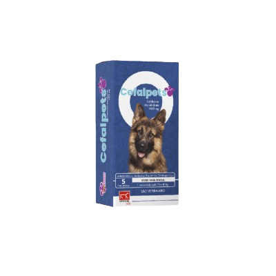 CEFALPETS X 700 MG