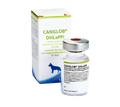 CANGLOB DHLaPP VIAL X 6 ML