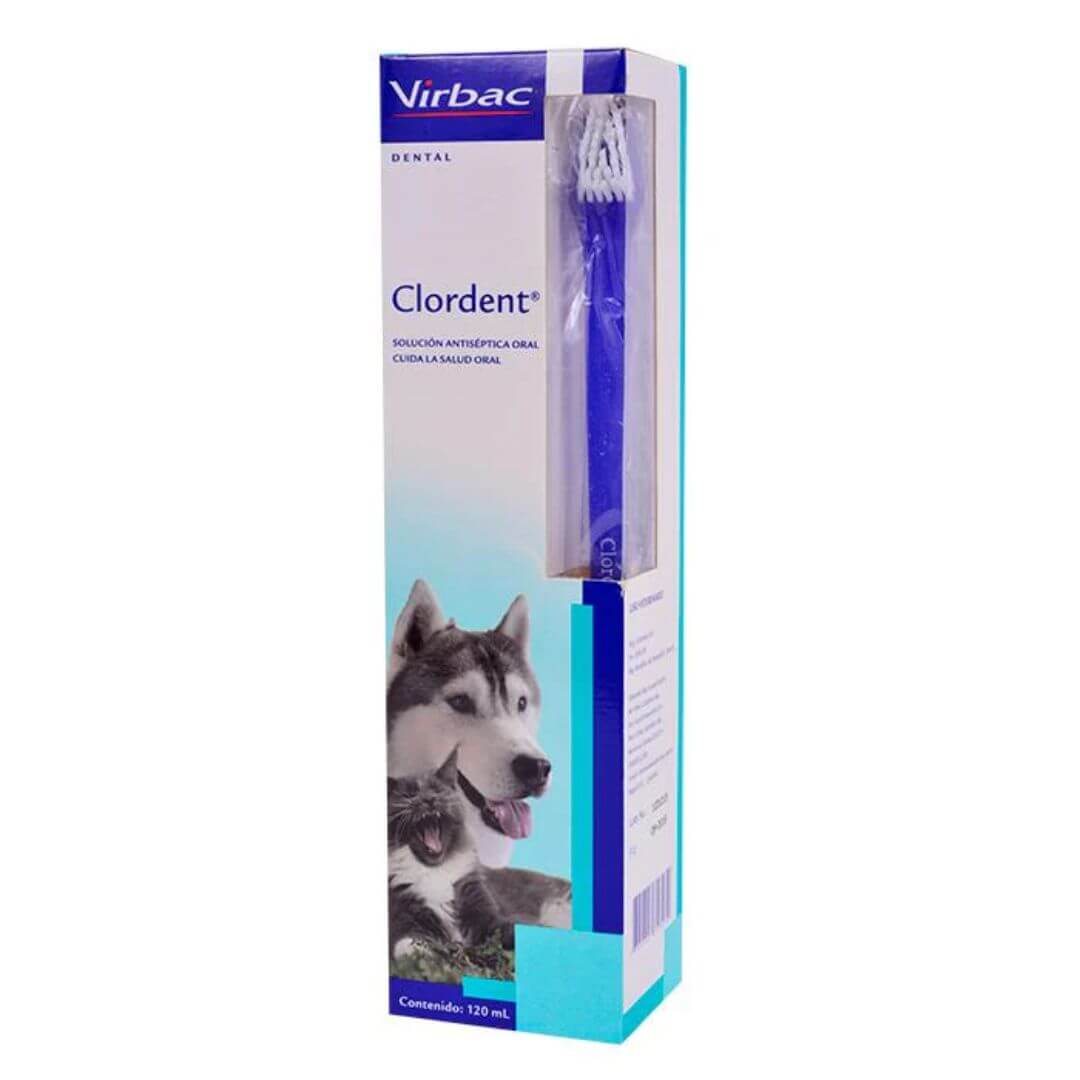 CLORDENT SOLUCION FRASCO X 120
