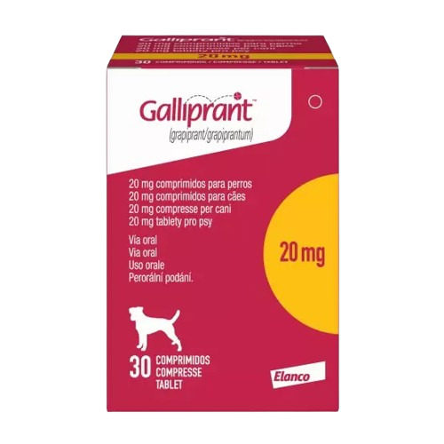 GALLIPRANT 20 MG CJA X 30 TAB