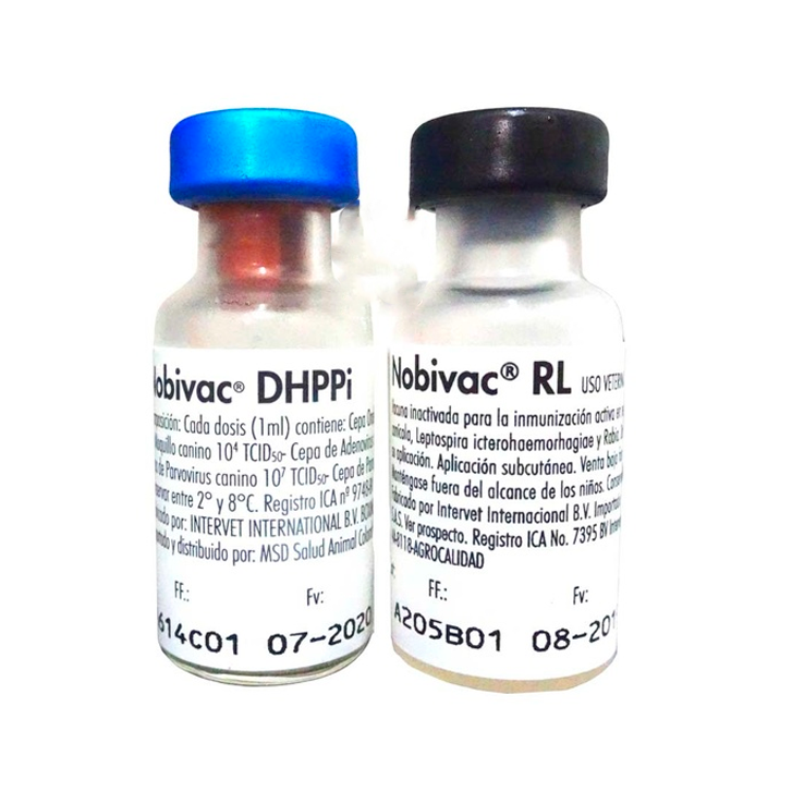 VACUNA NOBIVAC DHPPI X 1D NOBIV RL