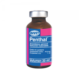 PENTHAL X 20ML