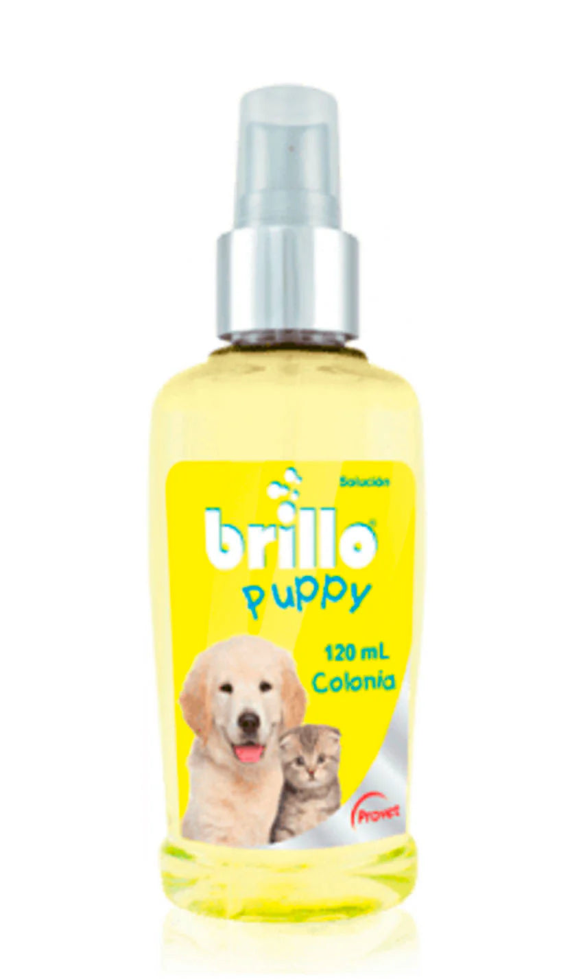 BRILLO COLONIA PUPPY X 120 ML