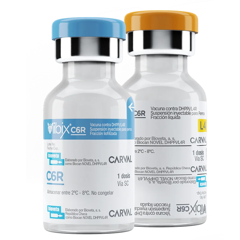 VACUNAS VIBIX C6R X 1 DOSIS