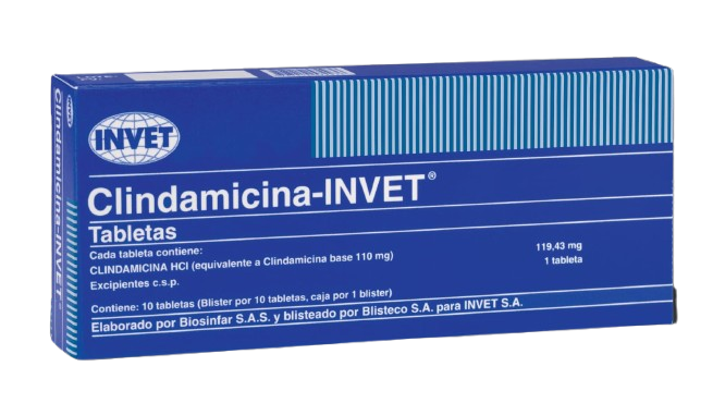 CLINDAMICINA BLISTER X10 TAB