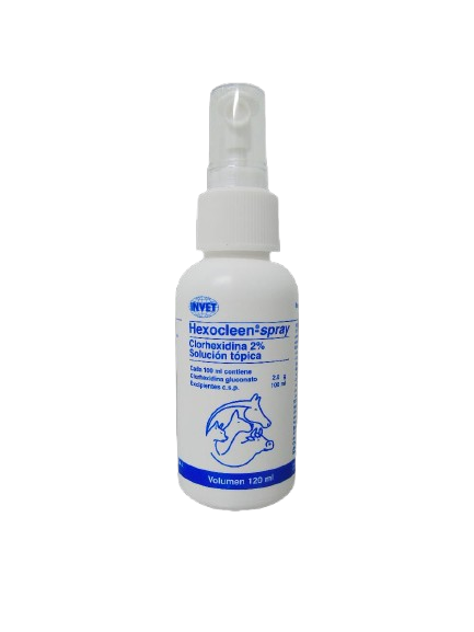 HEXOCLEEN SPRAY FCO X 120 ML