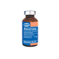 ASCORVEX X 20ML