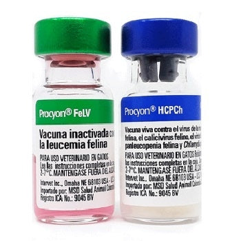 VACUNA PROCYON HCPCH + FELV  X 1 DS