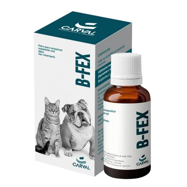 B-FEX POLVO SUSP ORAL FCO X 60 ML