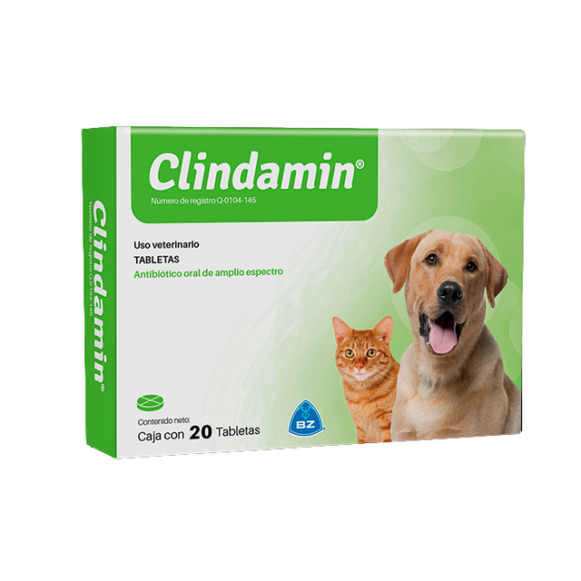 CLINDAMIN X 20 TABLETAS