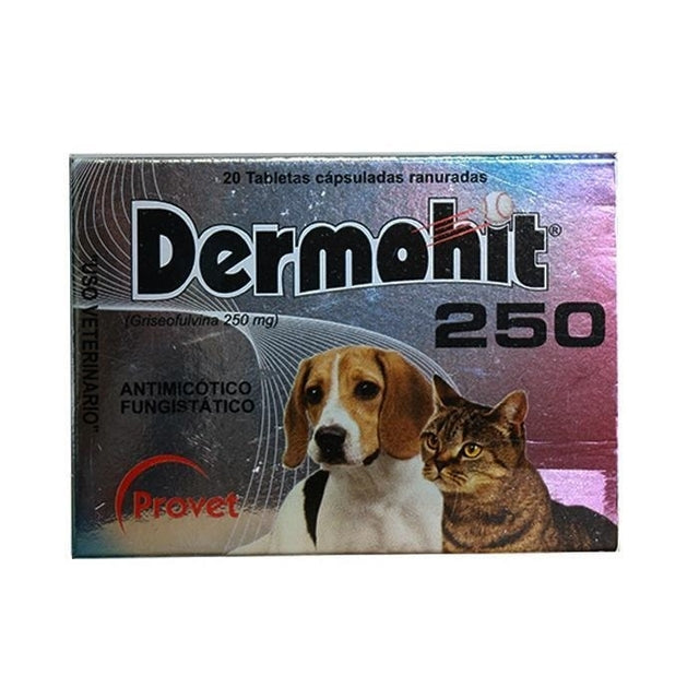 DERMOHIT 250 TAB X 20